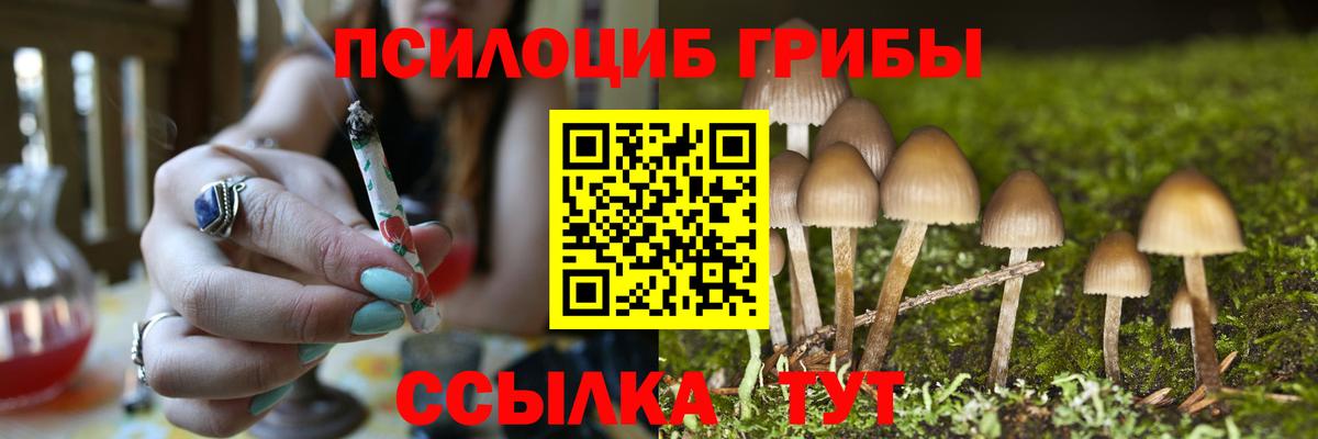 Галлюциногенные грибы прущие грибы  Вход с VPN  наркотики  Каменка 